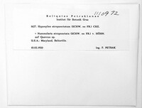 Biscogniauxia atropunctata image